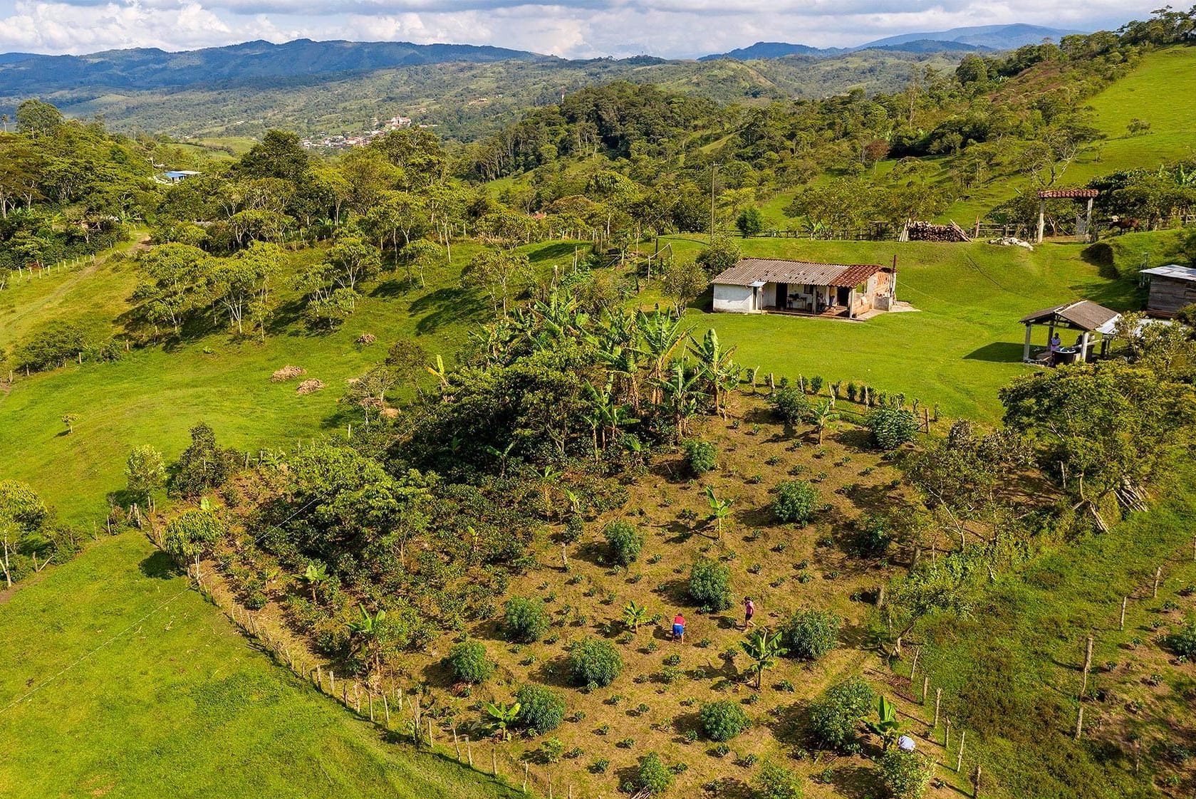 departamentos cafeteros e1670252727921