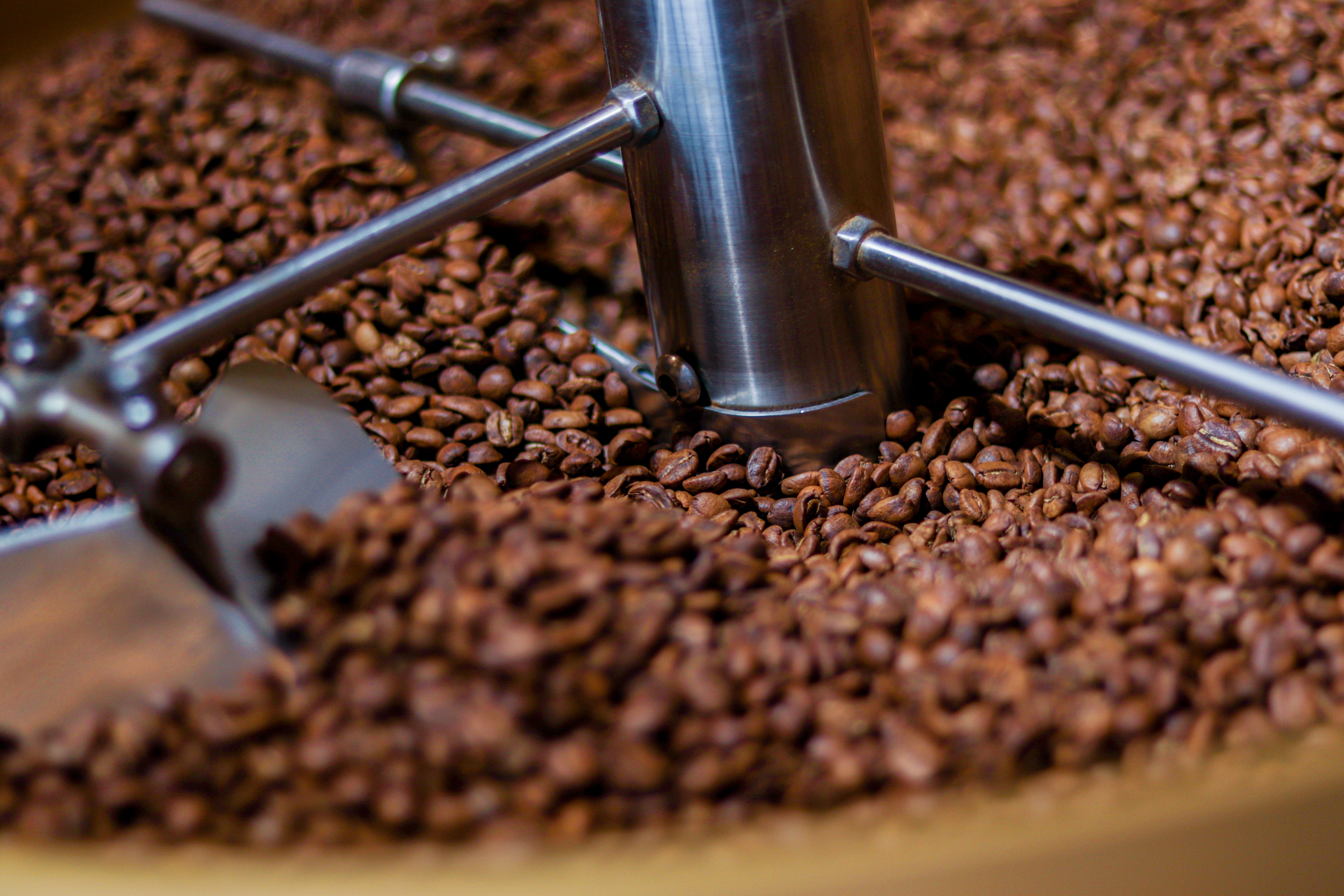 Bolsa de cafe en grano tostado artesanal de variedad arábica